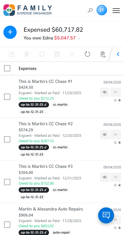 FemExpensor mobile app