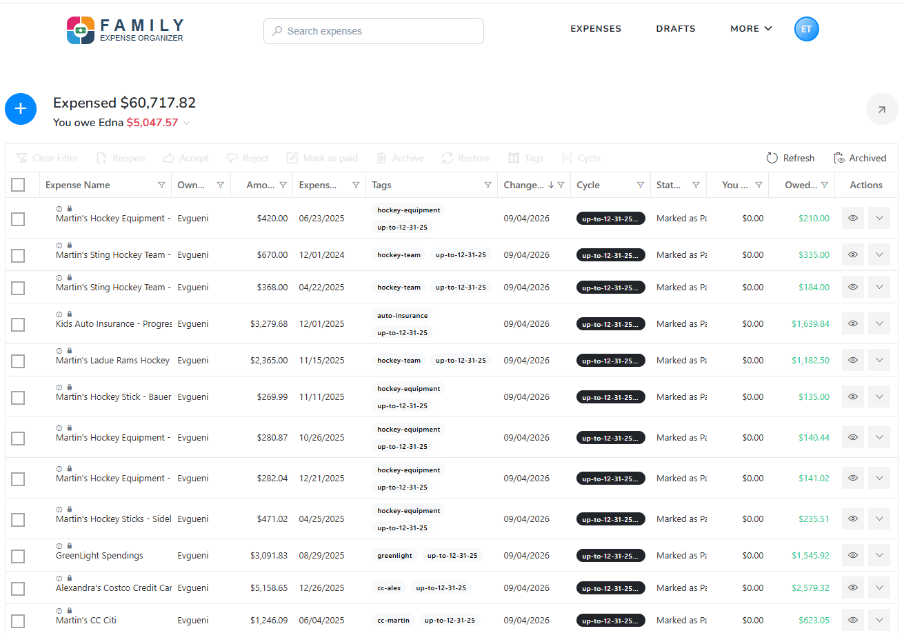 Family Expense Organizer web ledger